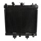 Radiateur voiture sans permis AIXAM 500 S/SL