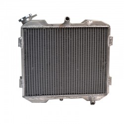 RADIATEUR QUAD RST 450